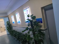 -成都军建医院·疤痕诊疗中心