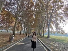 -河南省黄河迎宾馆