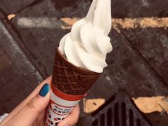 -富豪雪糕车流动点(尖沙咀店)