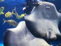 -华夏文旅海洋公园