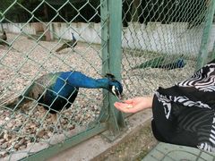 -南京金牛湖风景区