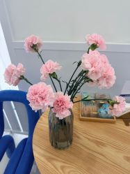 -靓芙泉专研痘痘肌