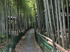 -宝岩生态观光园