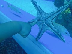 -成都浩海立方海洋公园