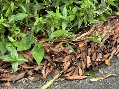 -东天目山风景区