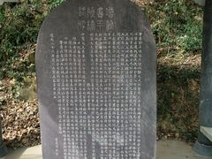 -羚羊峡古栈道森林公园