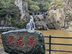 -茅兰沟国家森林公园