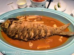 -阿五黄河大鲤鱼(英协路店)