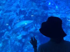 -麦当劳(海洋公园店)