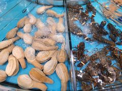 -舌尖上·霞浦滩涂海鲜·新闽菜(总店)