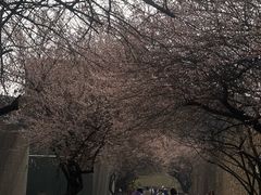 -国际非物质文化遗产博览园