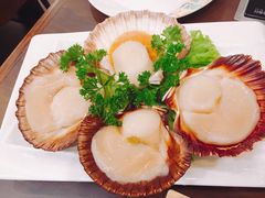 -舌尖记忆重庆火锅(悉尼店)
