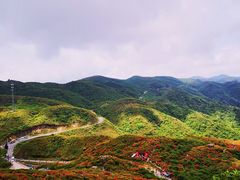 -大围山国家森林公园