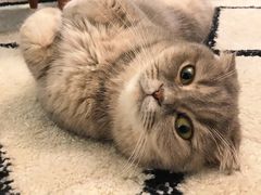 -阳光钱柜KTV(八一路店)