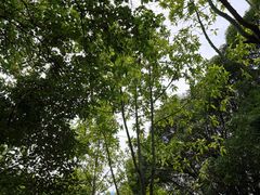 -天河体育中心篮球城