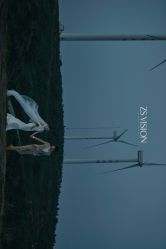 -YIMO映画摄影工作室