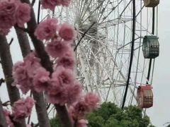 -观澜湖生态运动公社