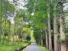 -东明山森林公园