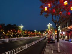 -大清花饺子(山庄店)