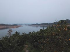 -笑红饭庄