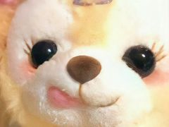 -代数学家algebraist(东吴龙湖天街店)