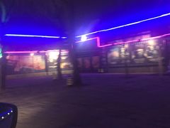 -枫花园汽车电影院(朝阳公园店)