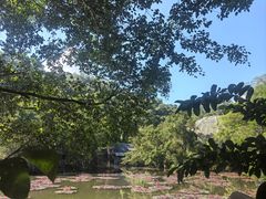 -野象谷景区