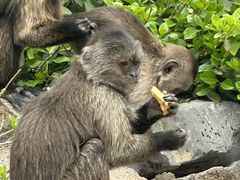 -济南野生动物世界
