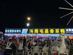 -盐禾堂海南屯昌香草鸭(总店)