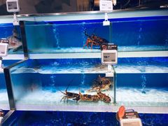 -盒马鲜生(枣园路店)