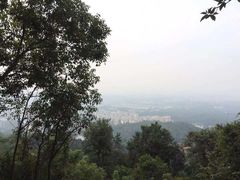 -火炉山森林公园