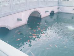 -太平禅寺