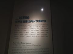 -白鹤梁水下博物馆