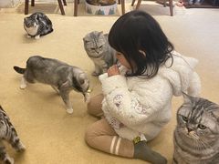 -猫友咖啡店(玉林西路店)