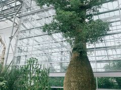 -南山植物园