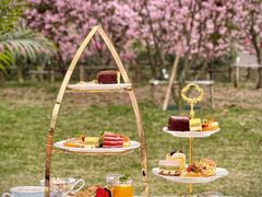 -福建鲤鱼洲酒店