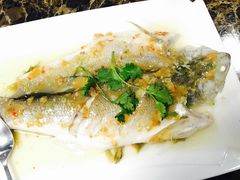 酸梅蒸五笋-宜兴隆家宴·私房菜(泰安华庭店)