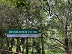 -东明山森林公园