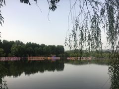 -二一九公园