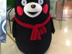 -沈阳HAI乐园