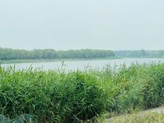-素心小筑(后沙裕镇店)