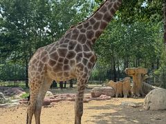 -大连森林动物园