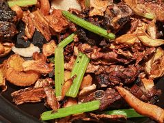 -宋小谨(惠安禹洲店)