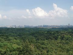 -南京老山国家森林公园