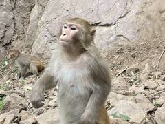 -环翠峪风景区
