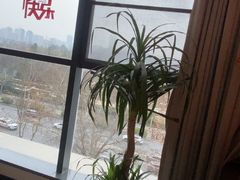 -鸽子侯·家宴·平价海鲜(绿地店)