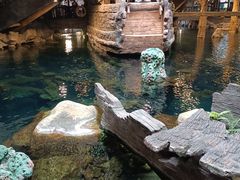 -长鹿旅游休博园