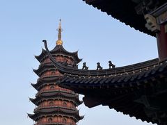 -葛仙湖公园