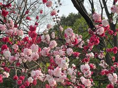 -蜀冈西峰生态公园