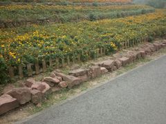 -白鹭湾湿地公园